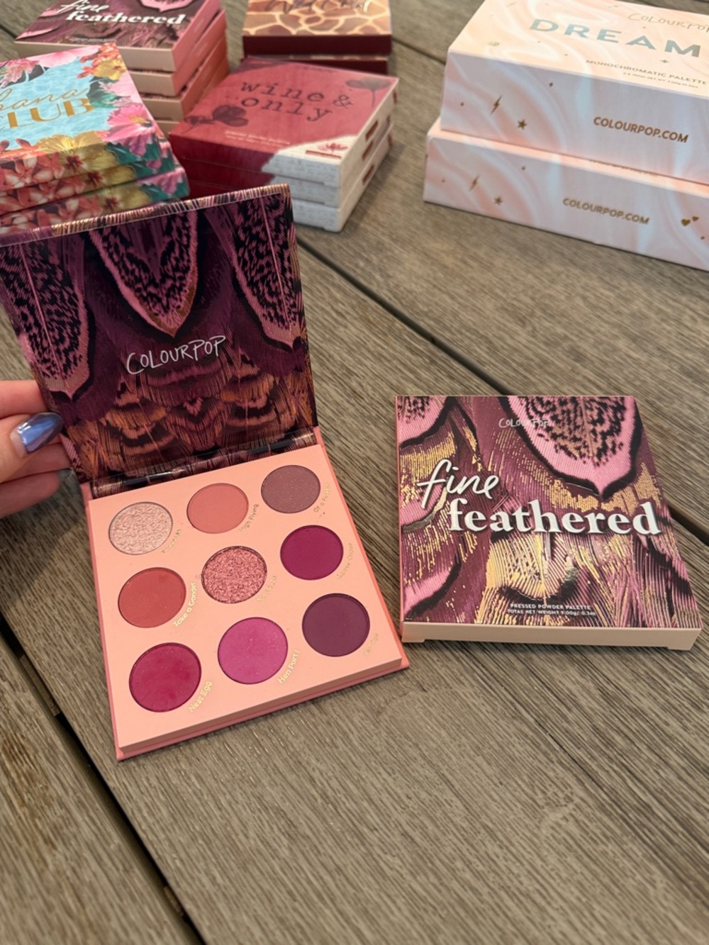 ColourPop Fine Feathered Eyeshadow Palette - Pink & Plum Tones